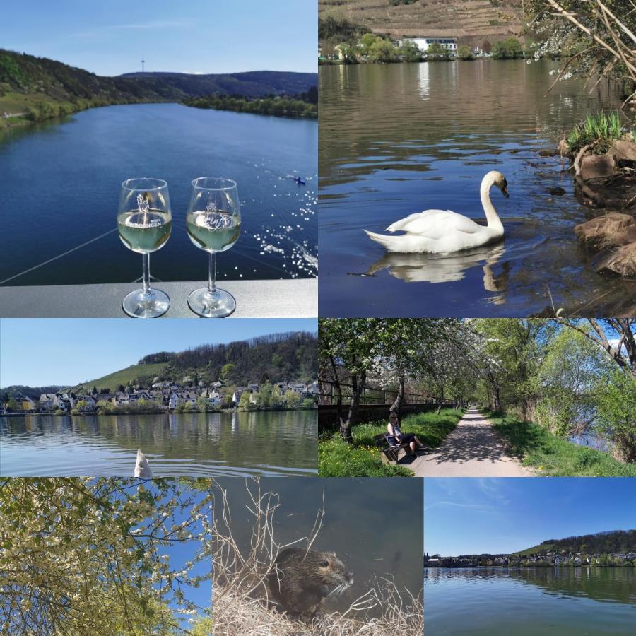 Ferienwohnung Auszeit Rhein-Mosel Waldesch Exterior foto