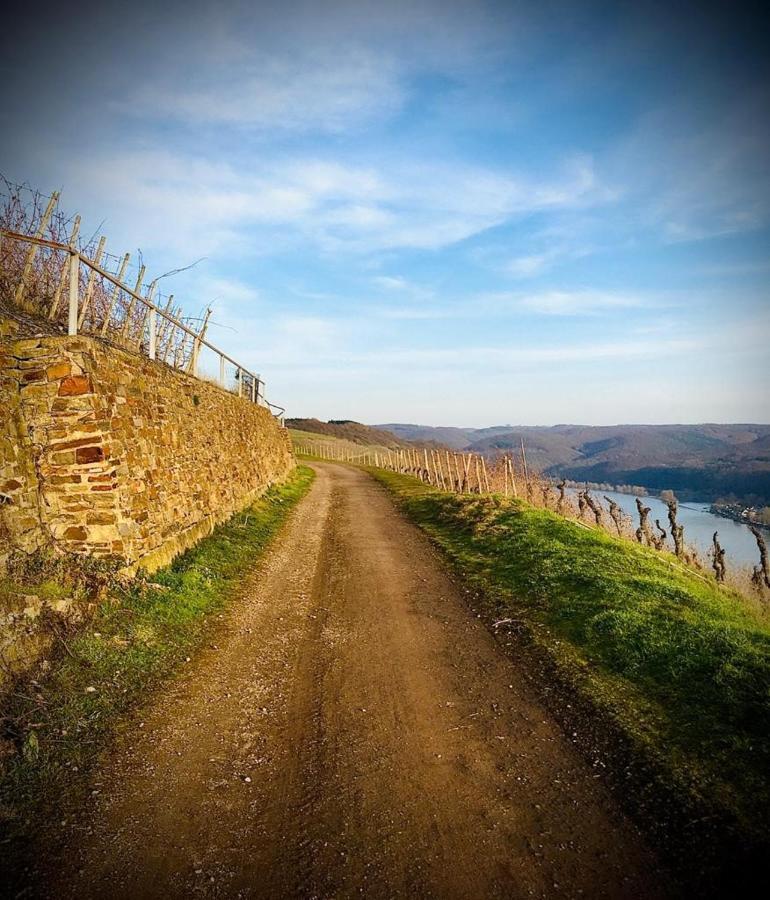 Ferienwohnung Auszeit Rhein-Mosel Waldesch Exterior foto